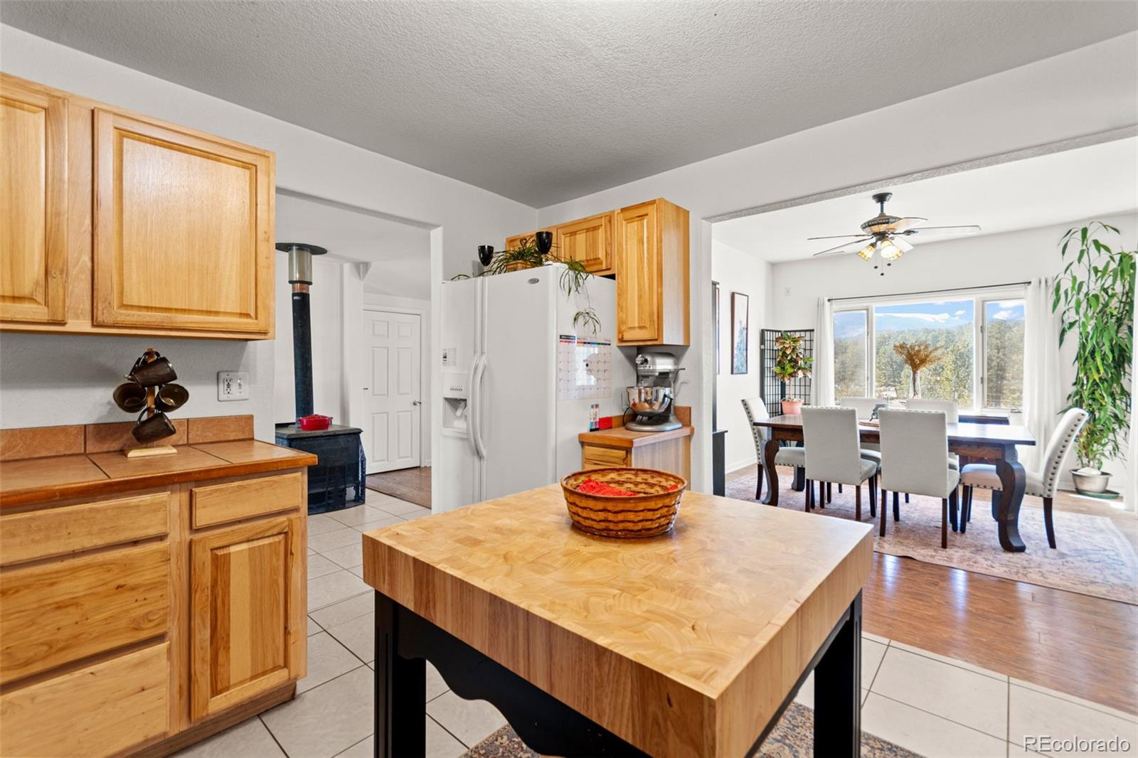 MLS Image #8 for 211  appleby street,bailey, Colorado