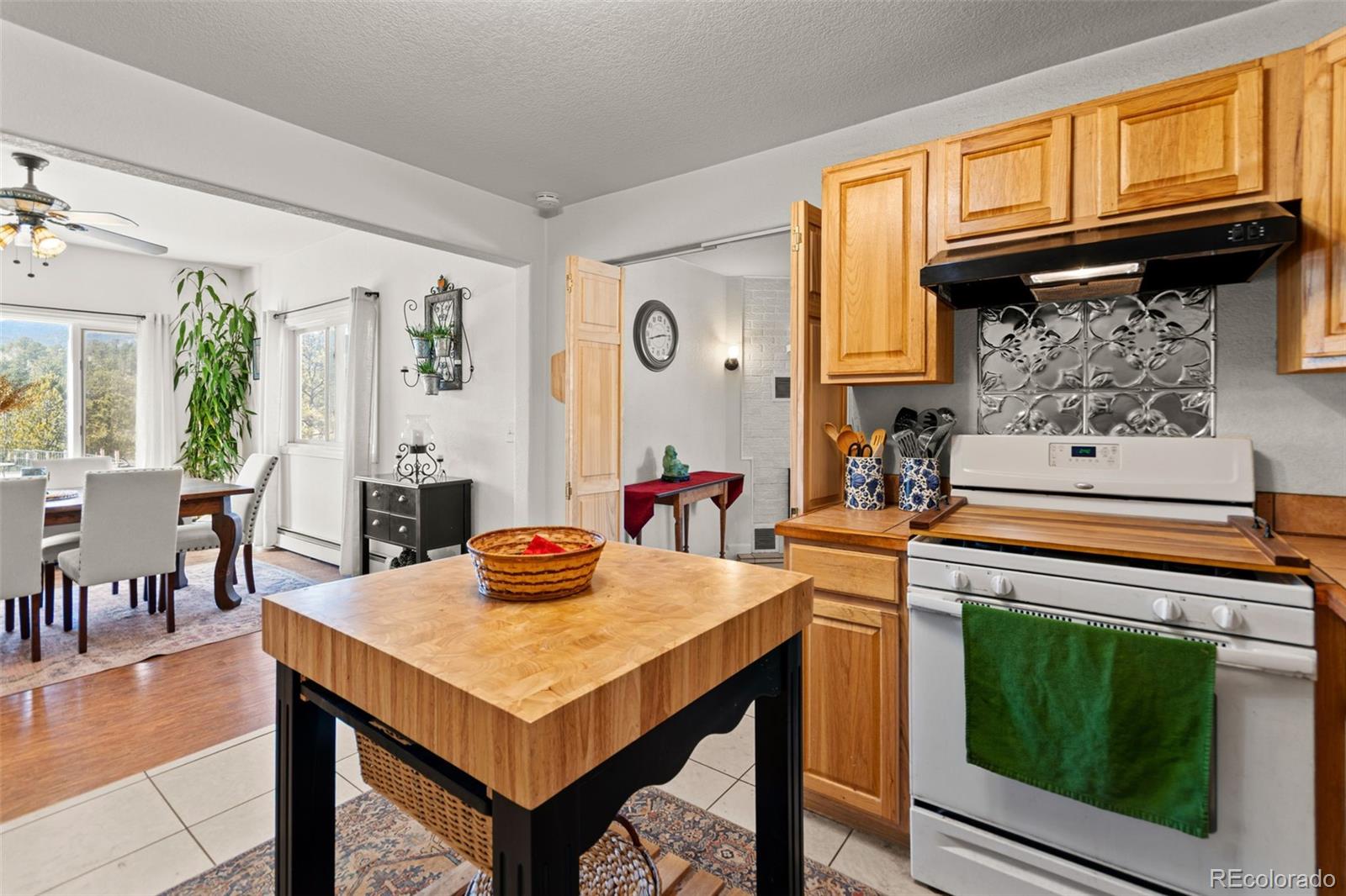 MLS Image #9 for 211  appleby street,bailey, Colorado