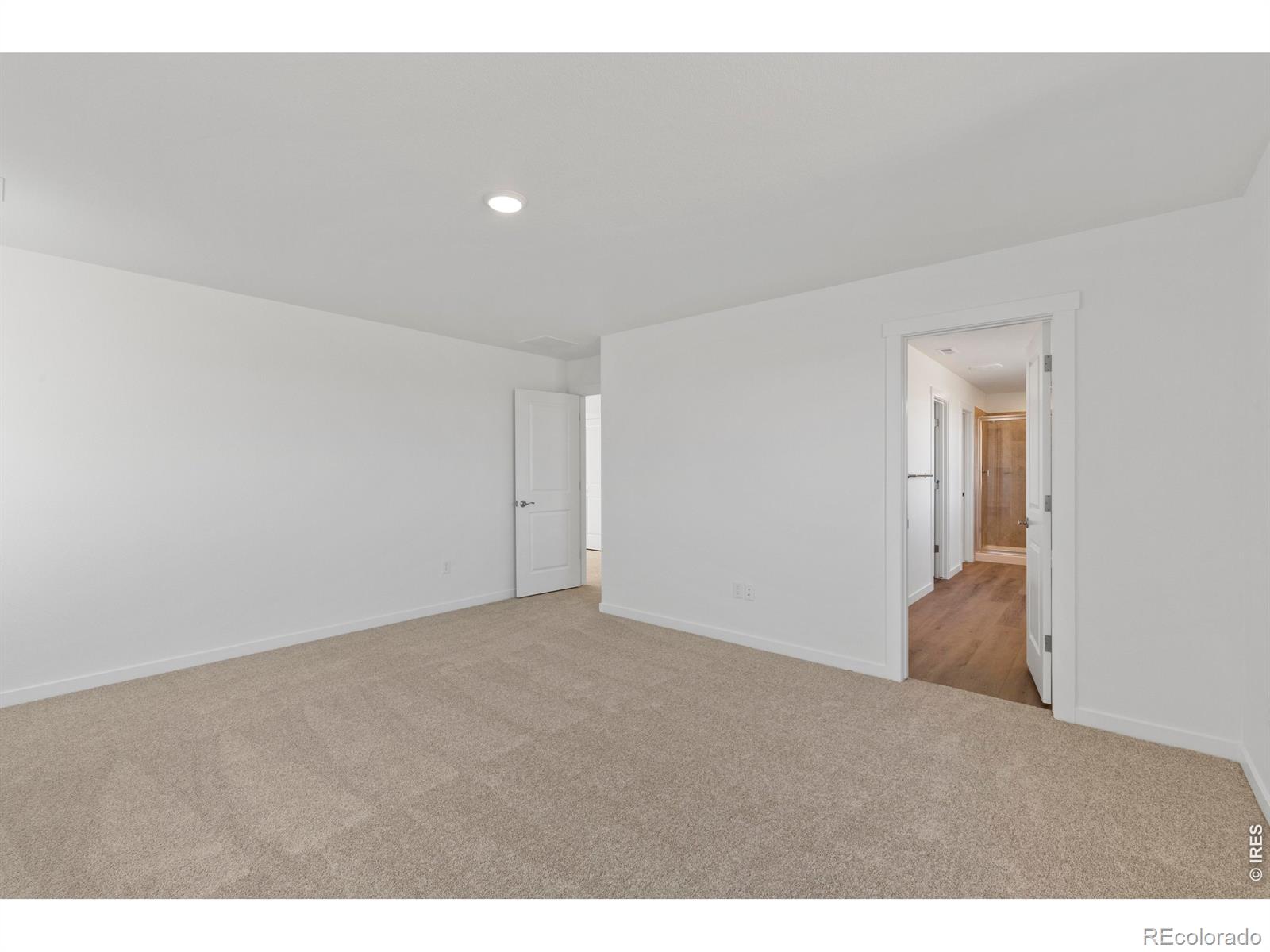 MLS Image #17 for 1448  boyle street,windsor, Colorado