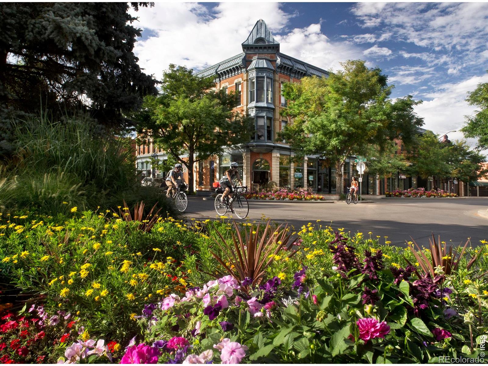 MLS Image #35 for 226  osiander street,fort collins, Colorado