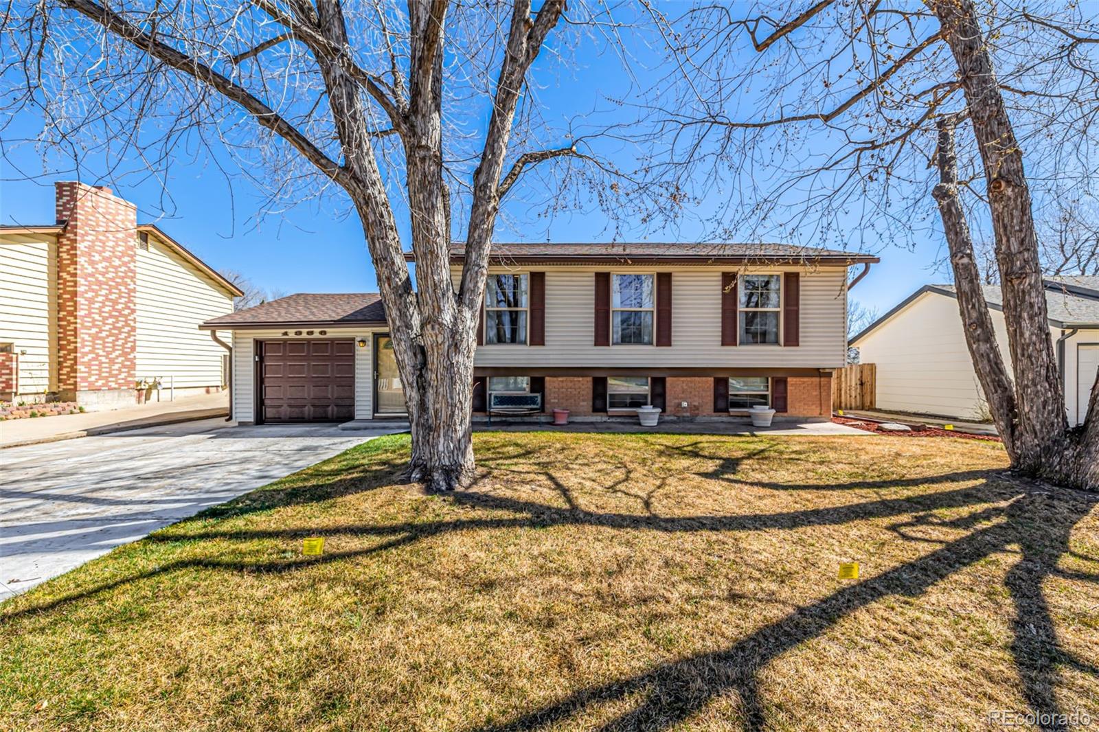 MLS Image #31 for 1356  dexter street,broomfield, Colorado