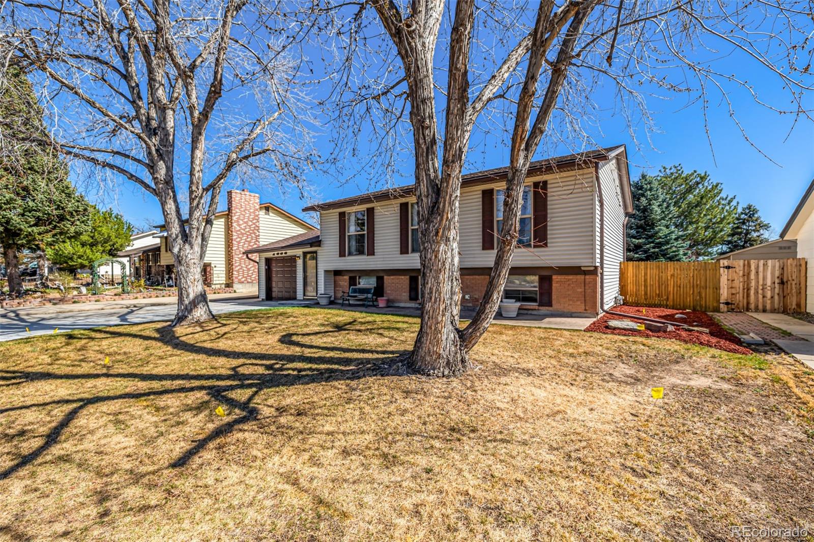 MLS Image #32 for 1356  dexter street,broomfield, Colorado