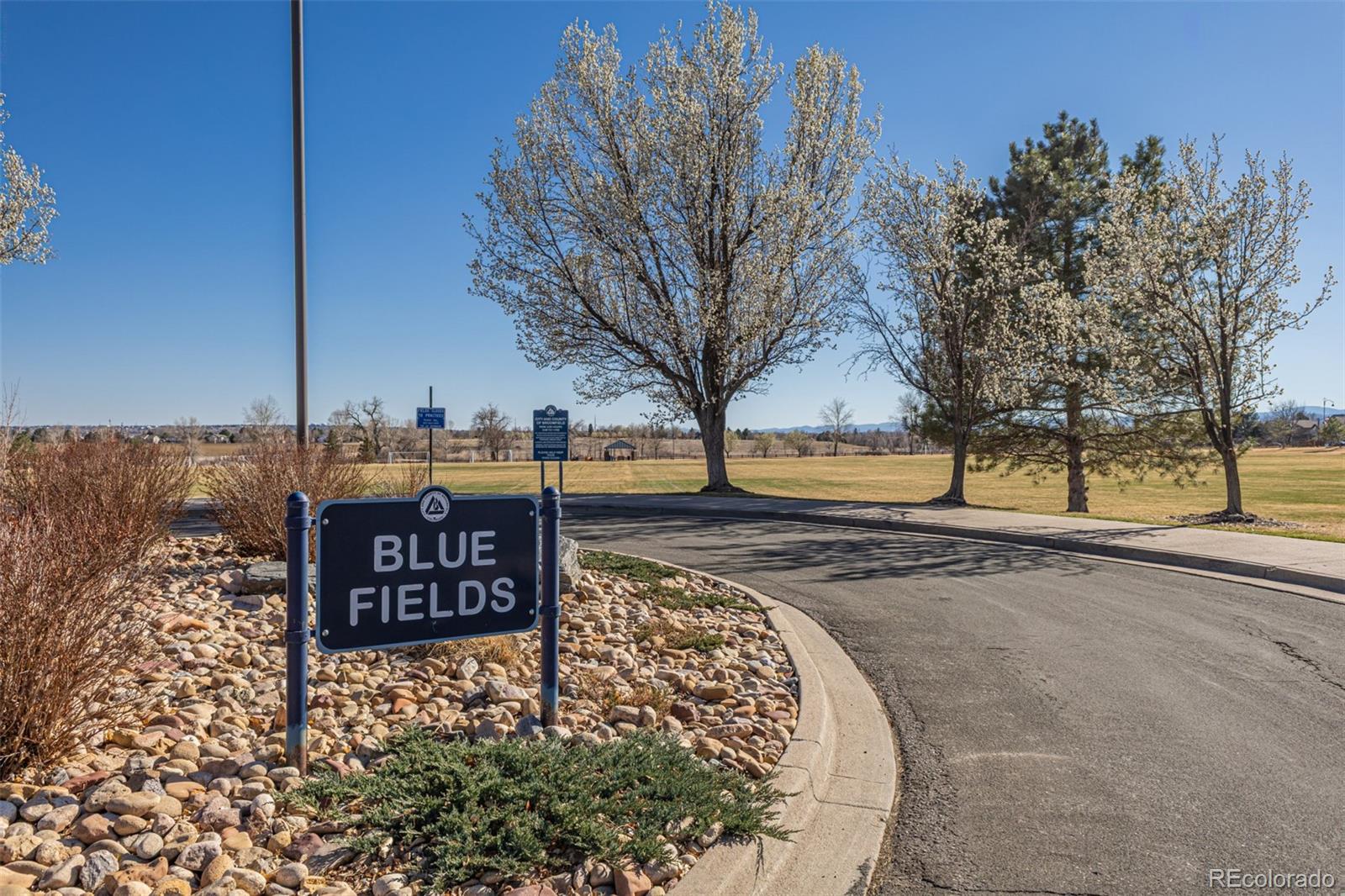 MLS Image #41 for 1356  dexter street,broomfield, Colorado