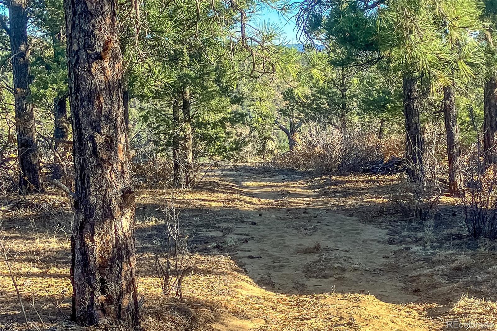 MLS Image #32 for 13240  big pine ridge road,weston, Colorado