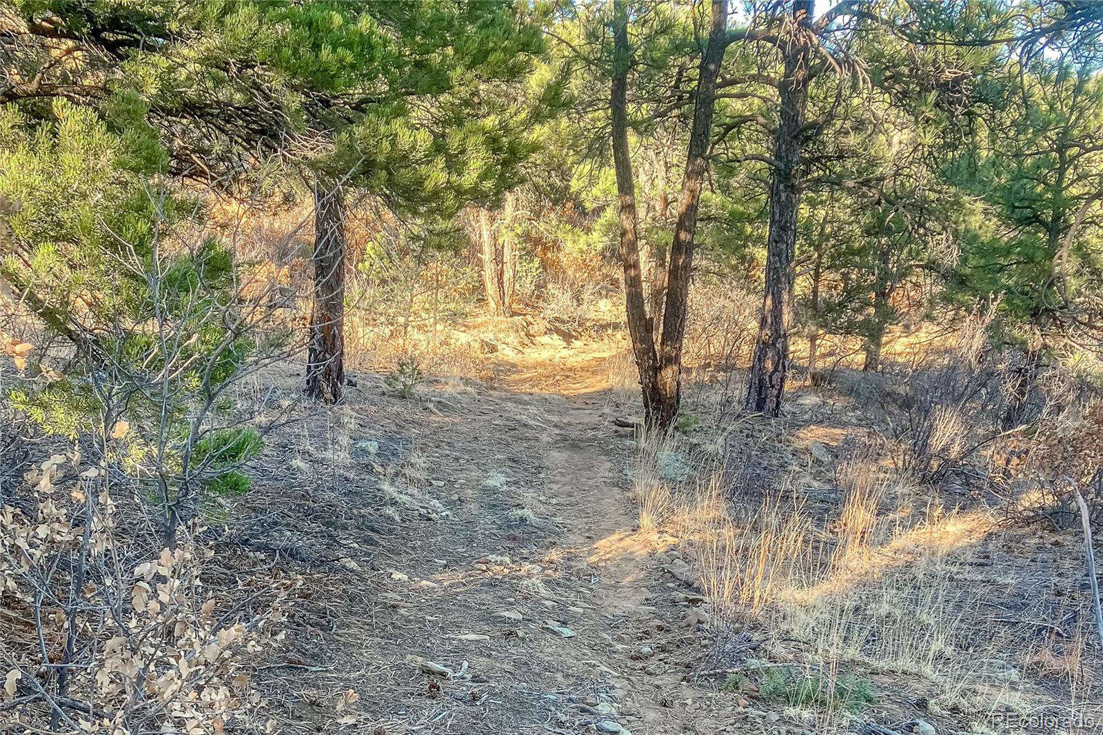 MLS Image #33 for 13240  big pine ridge road,weston, Colorado