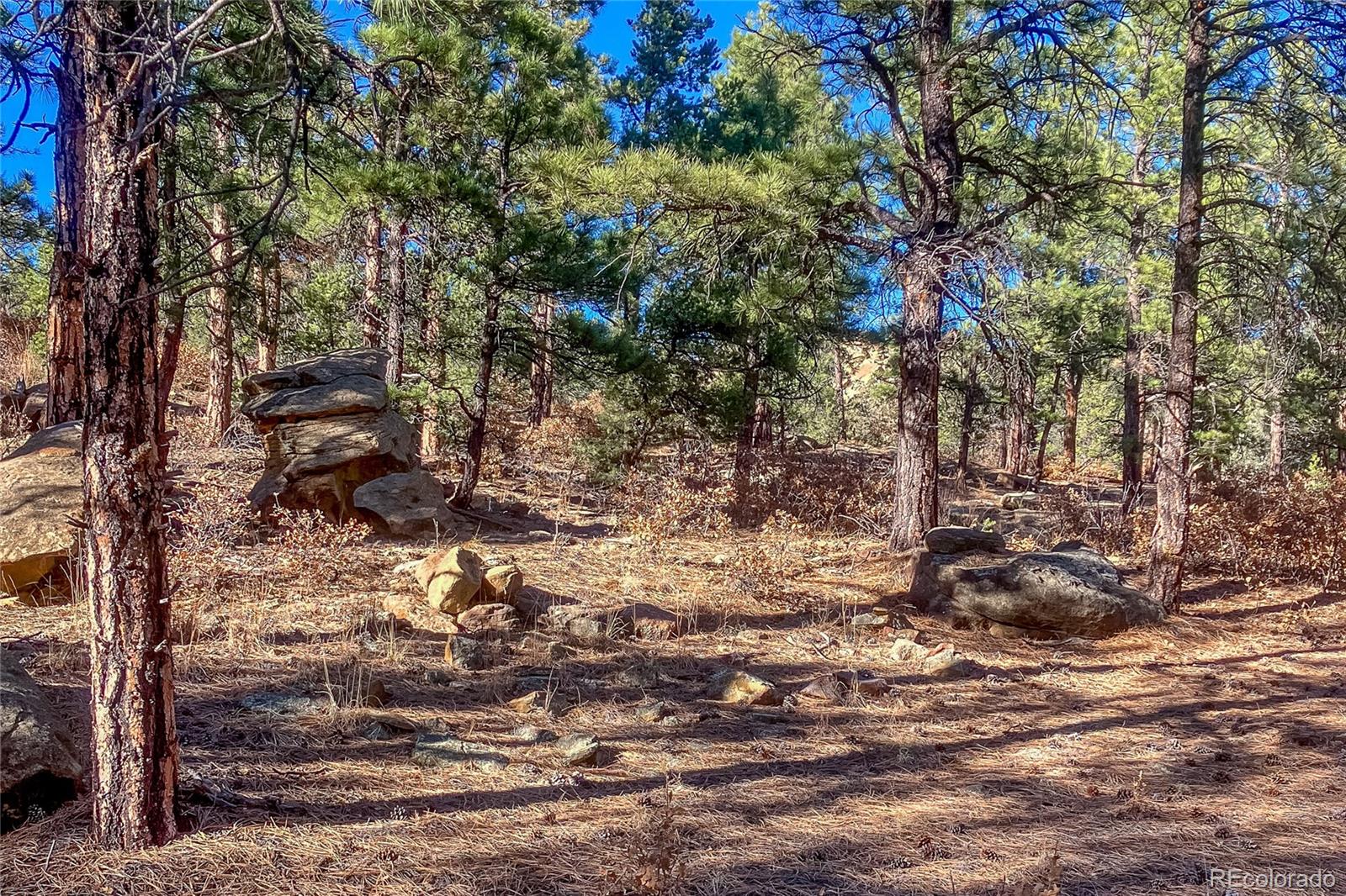 MLS Image #37 for 13240  big pine ridge road,weston, Colorado
