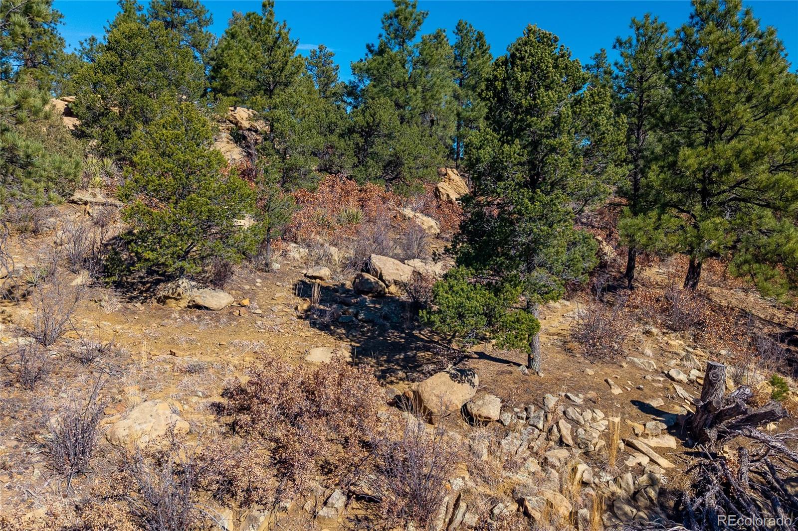 MLS Image #43 for 13240  big pine ridge road,weston, Colorado