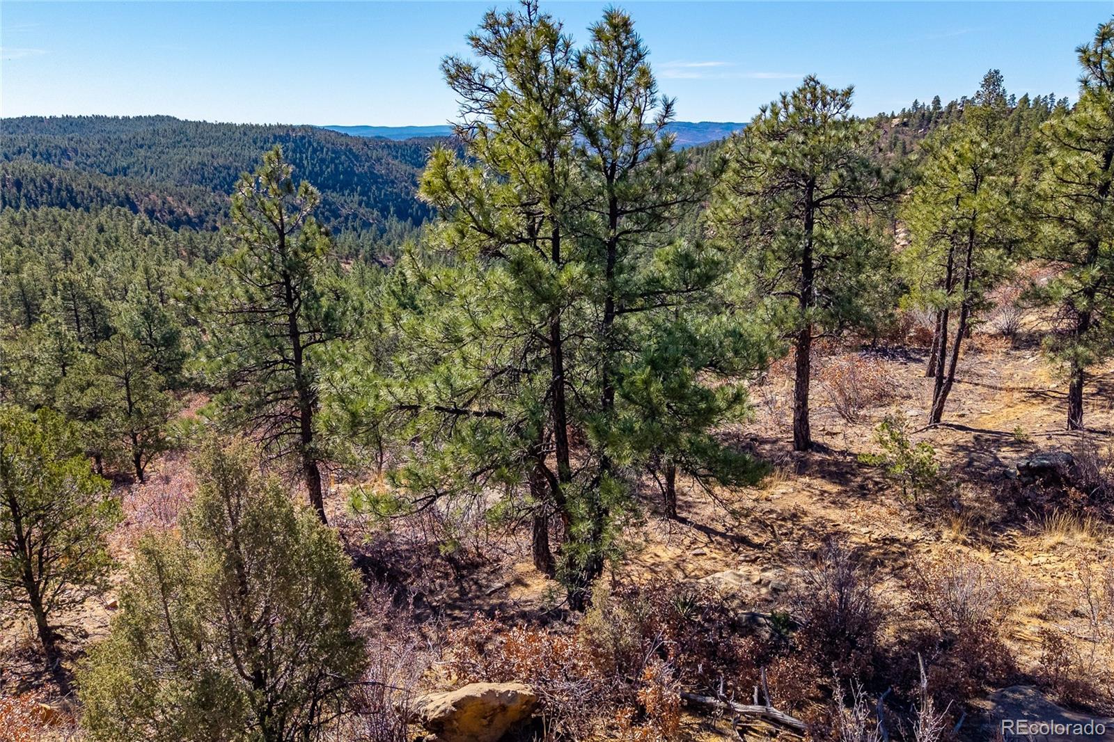 MLS Image #45 for 13240  big pine ridge road,weston, Colorado