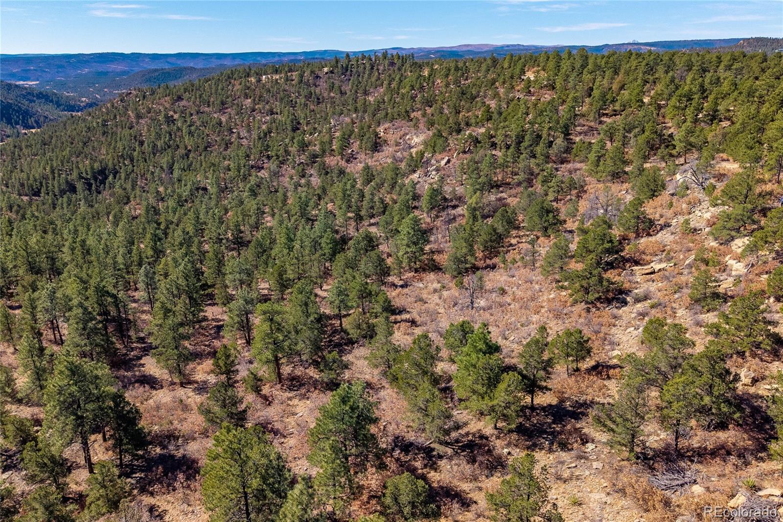 MLS Image #47 for 13240  big pine ridge road,weston, Colorado