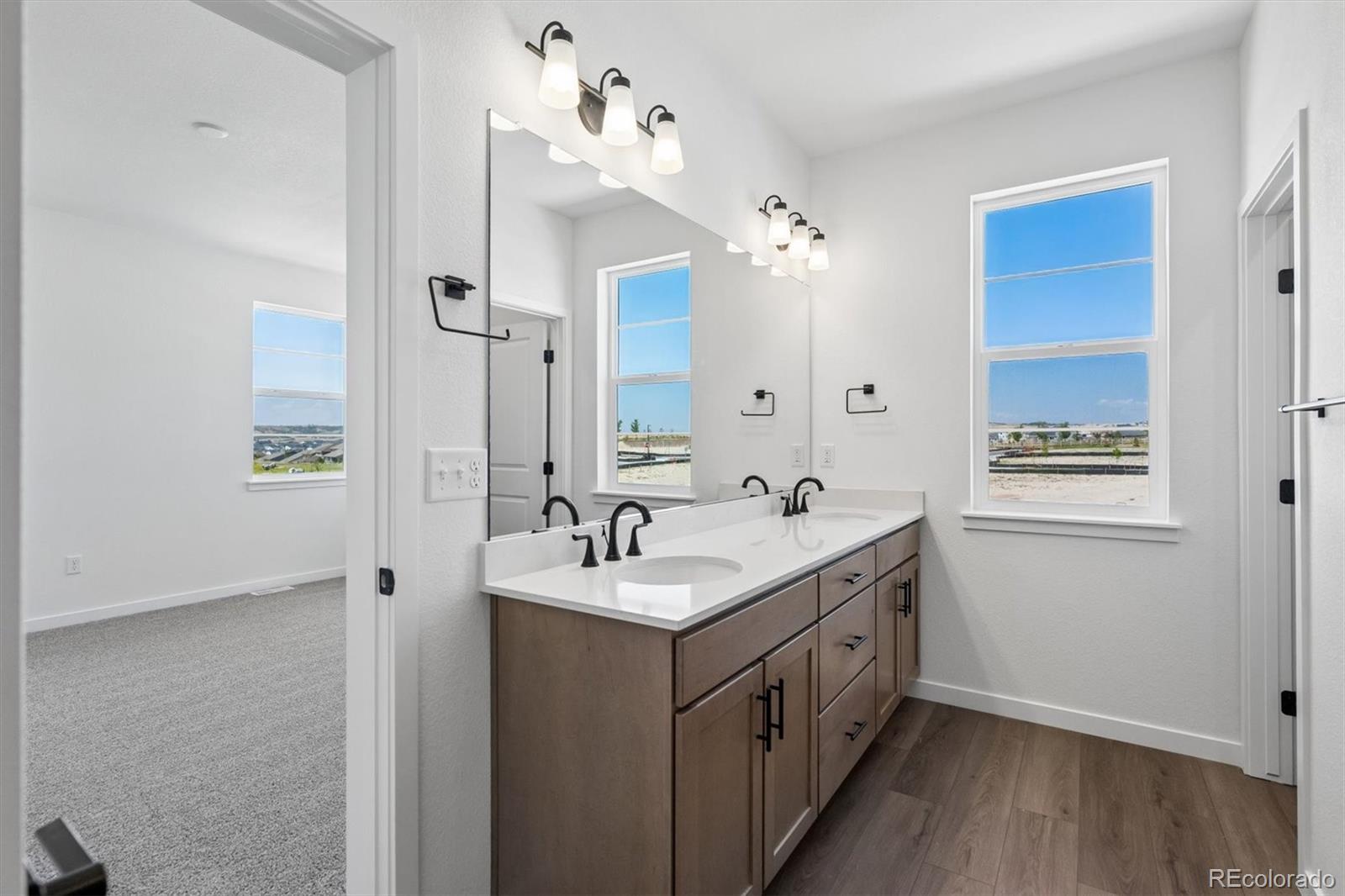 MLS Image #14 for 13304  inca rose way,parker, Colorado