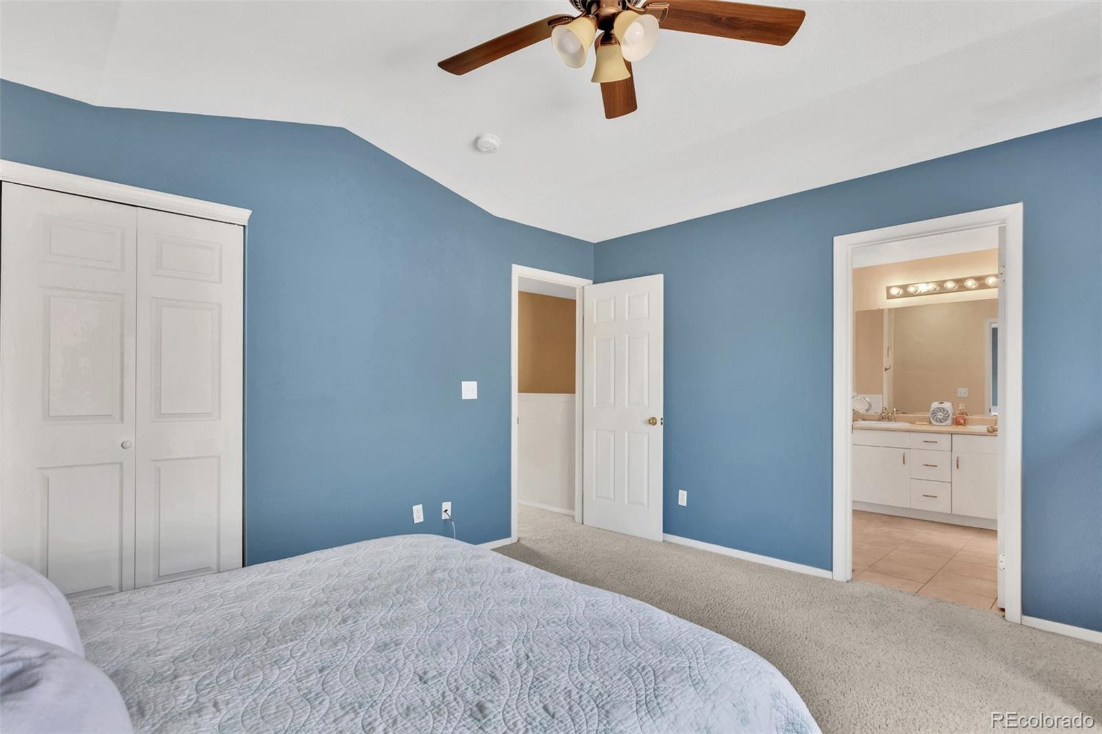 MLS Image #19 for 6424  silver mesa drive,highlands ranch, Colorado