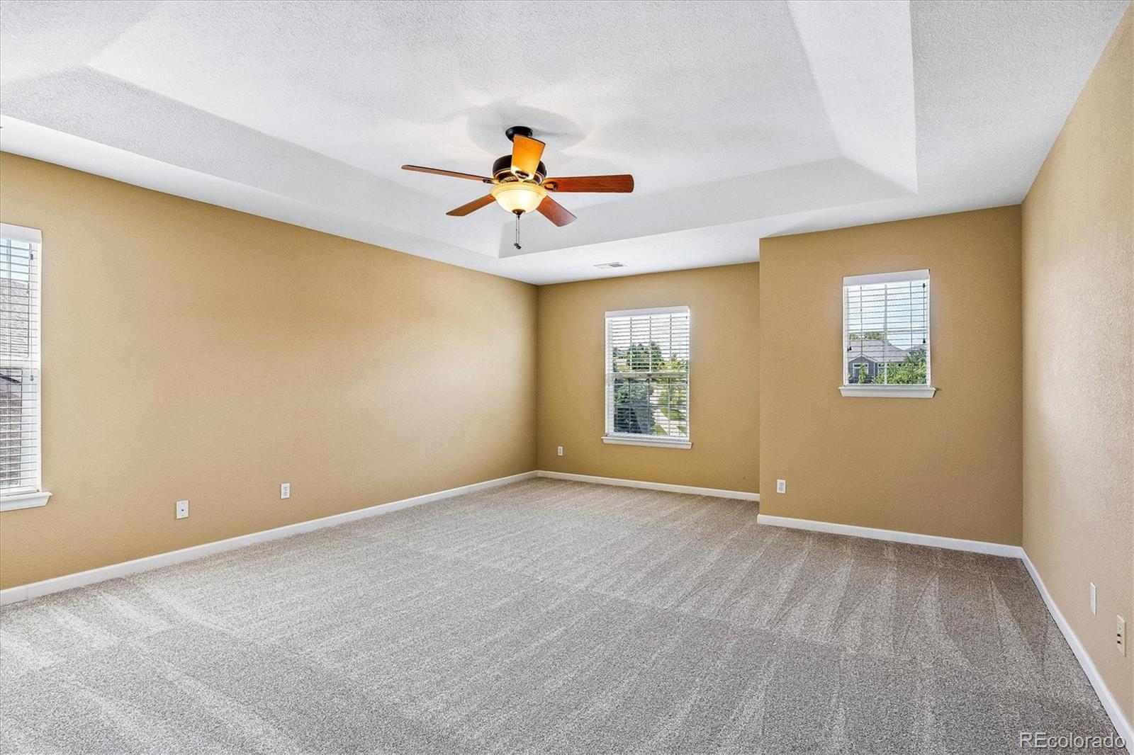 MLS Image #12 for 15663 e pine drop avenue,parker, Colorado