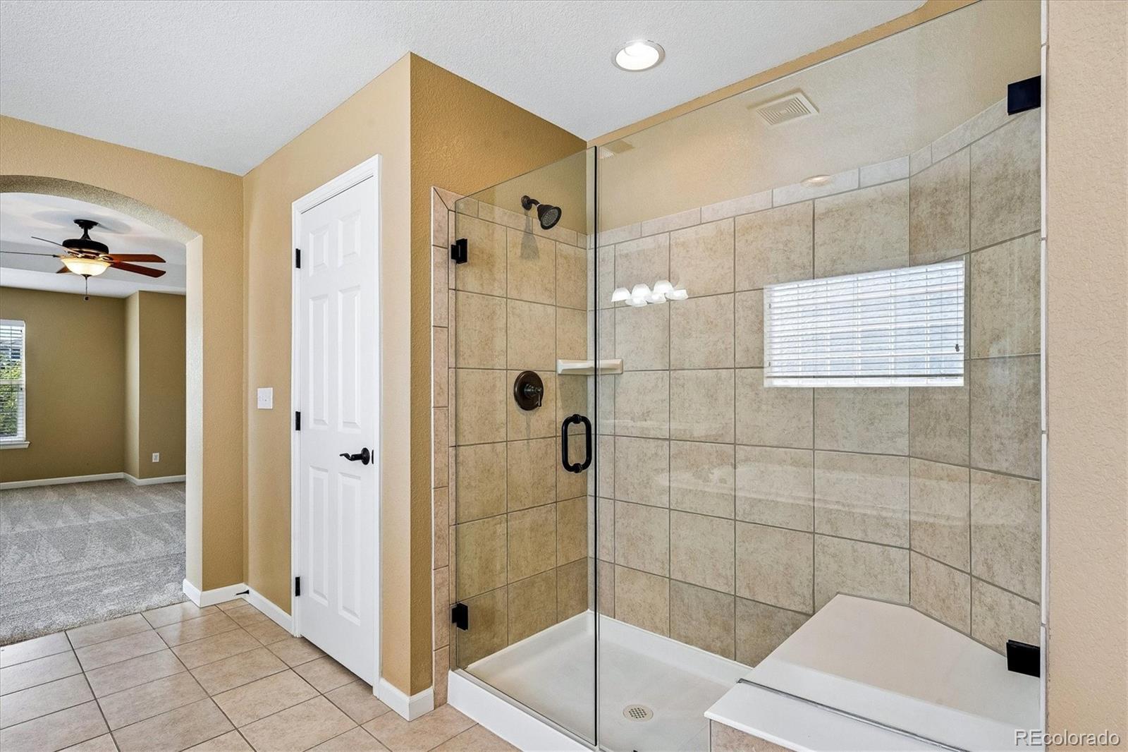 MLS Image #14 for 15663 e pine drop avenue,parker, Colorado