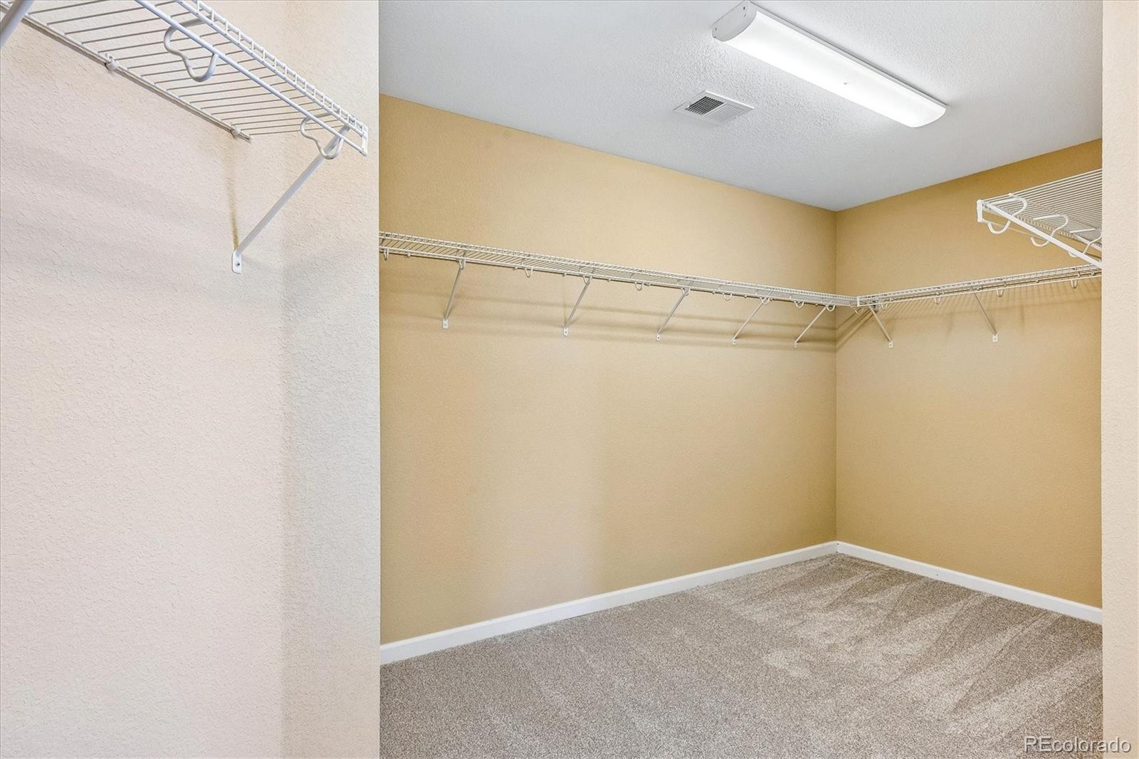 MLS Image #15 for 15663 e pine drop avenue,parker, Colorado
