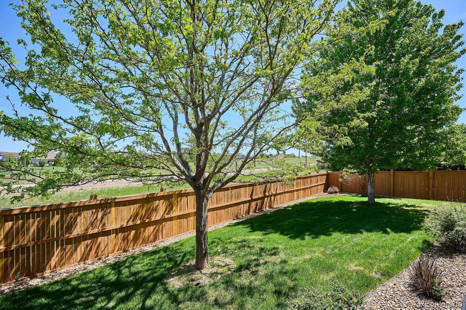 MLS Image #31 for 15663 e pine drop avenue,parker, Colorado