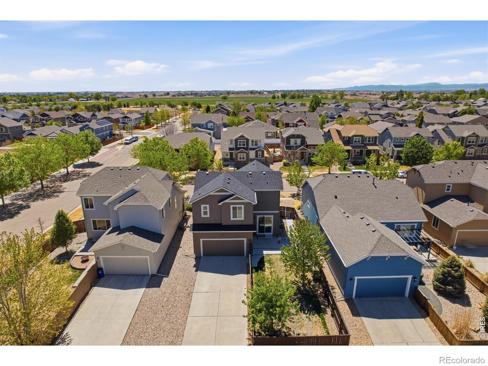 MLS Image #31 for 1502  chokeberry street,berthoud, Colorado