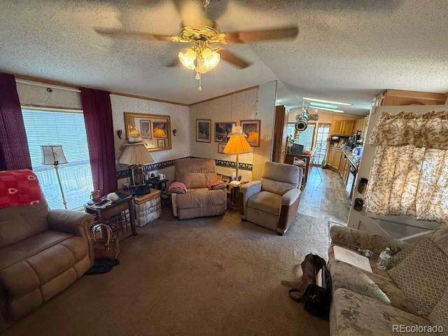 MLS Image #7 for 308  elm street,lochbuie, Colorado