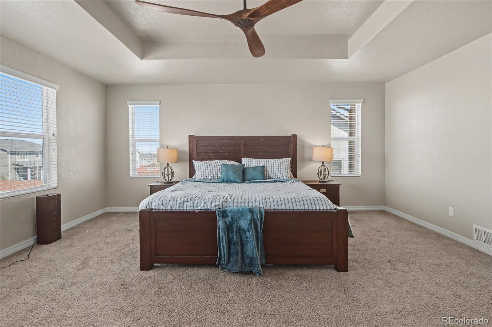 MLS Image #17 for 12686  culebra peak drive,peyton, Colorado