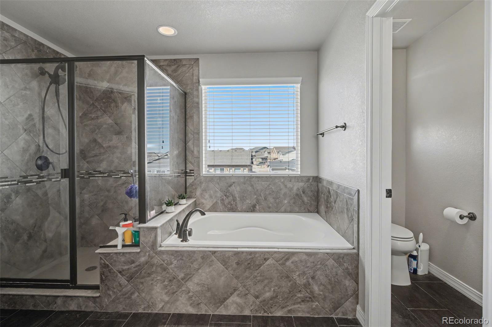MLS Image #19 for 12686  culebra peak drive,peyton, Colorado