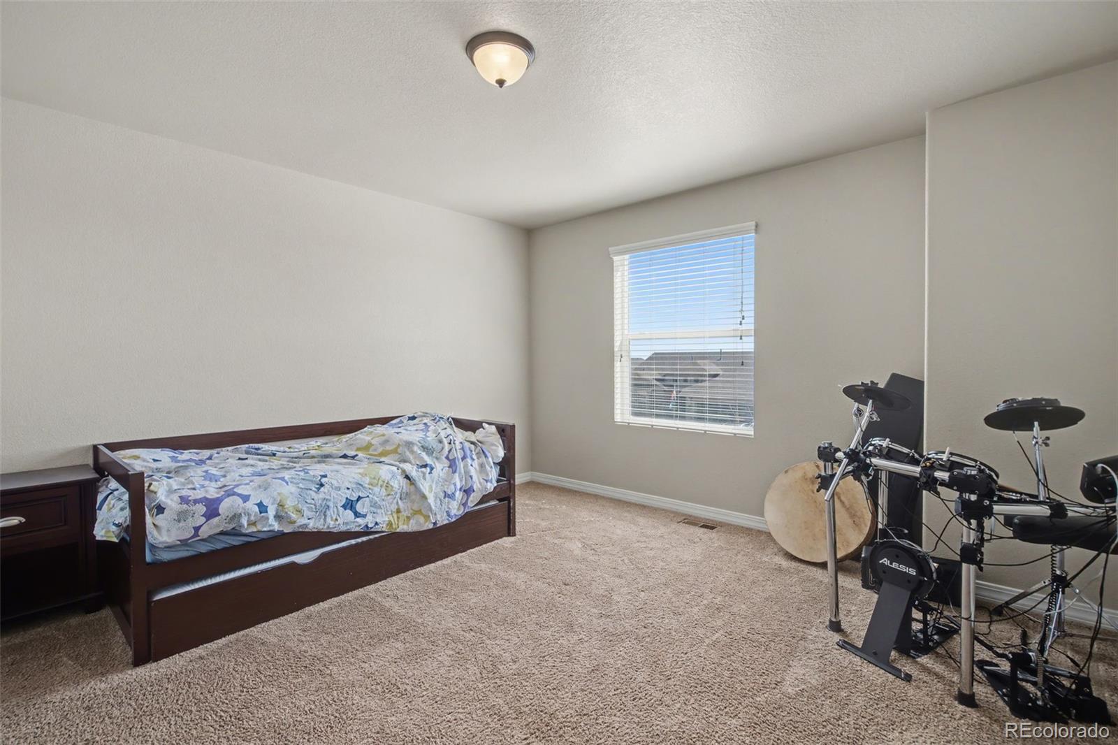 MLS Image #25 for 12686  culebra peak drive,peyton, Colorado