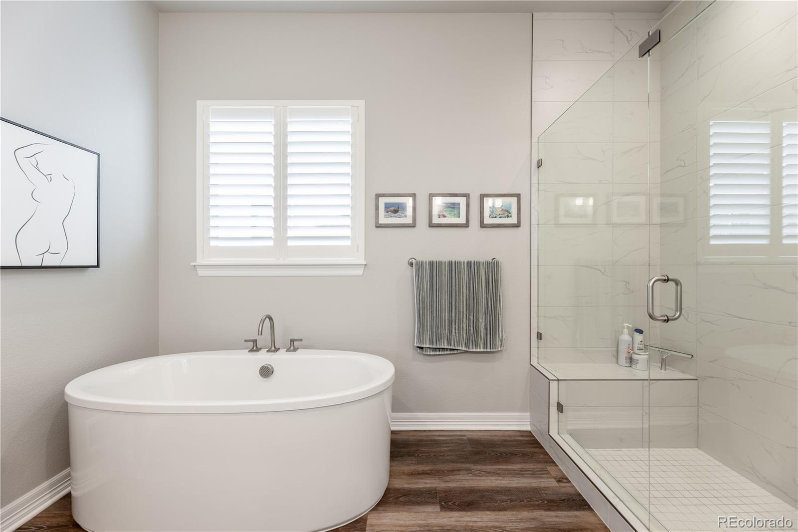 MLS Image #14 for 124  kitselman drive,castle rock, Colorado