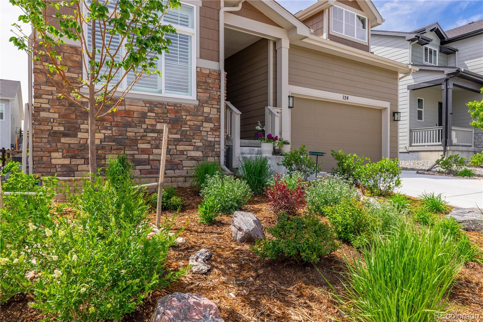 MLS Image #3 for 124  kitselman drive,castle rock, Colorado