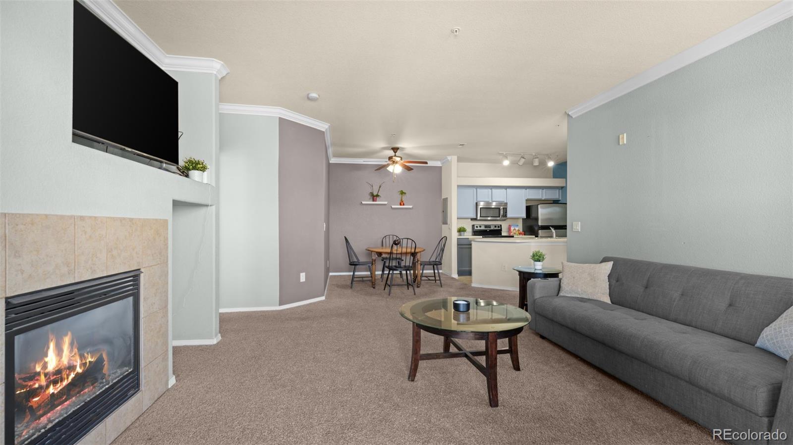 MLS Image #18 for 5353  palomino ranch point,colorado springs, Colorado