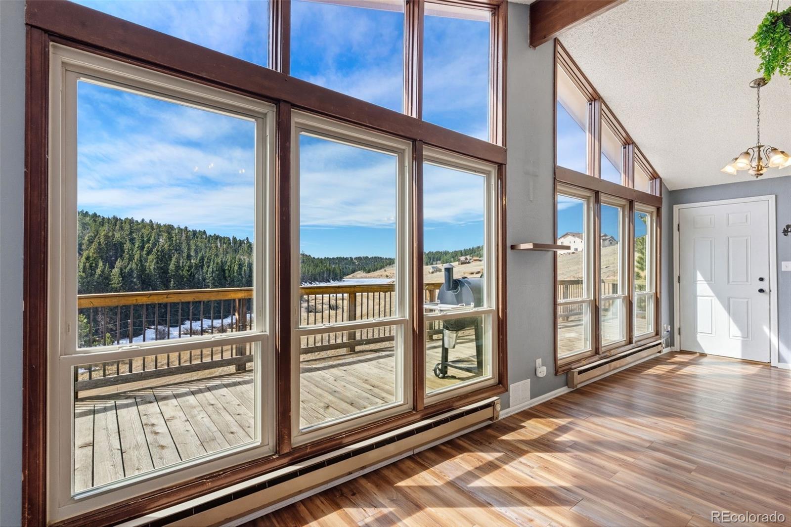 MLS Image #10 for 178  cottonwood lake drive,divide, Colorado