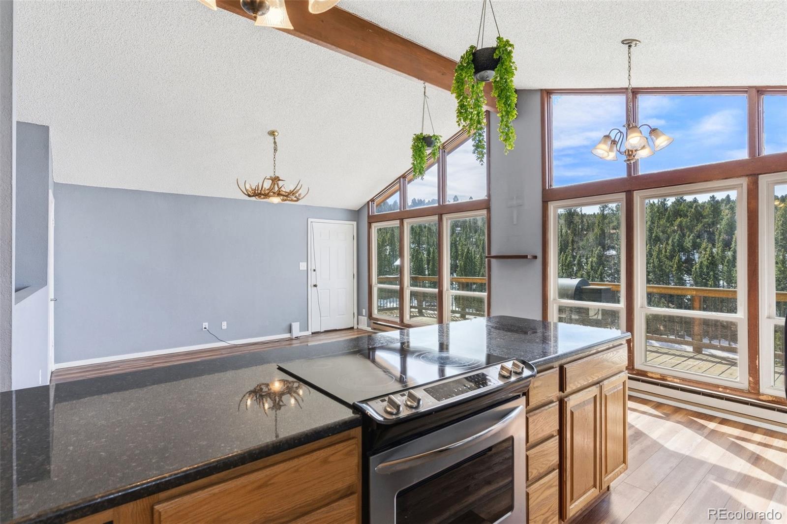 MLS Image #18 for 178  cottonwood lake drive,divide, Colorado