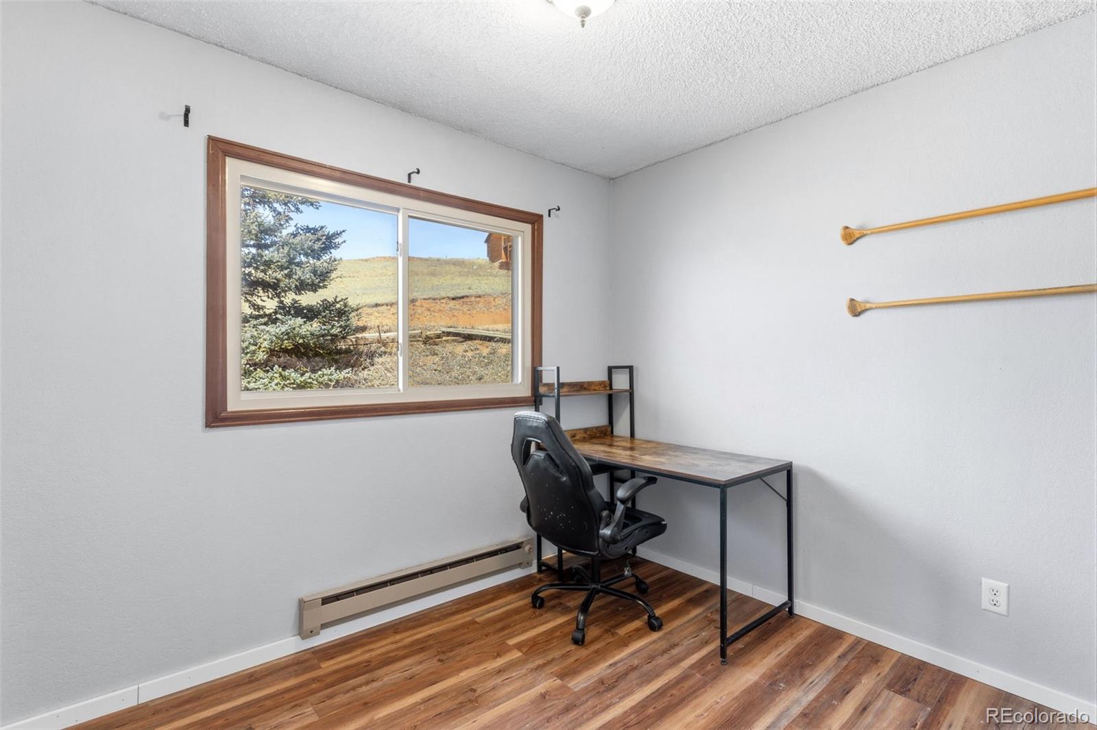 MLS Image #24 for 178  cottonwood lake drive,divide, Colorado
