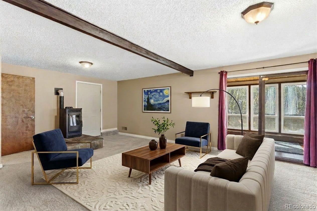 MLS Image #29 for 178  cottonwood lake drive,divide, Colorado