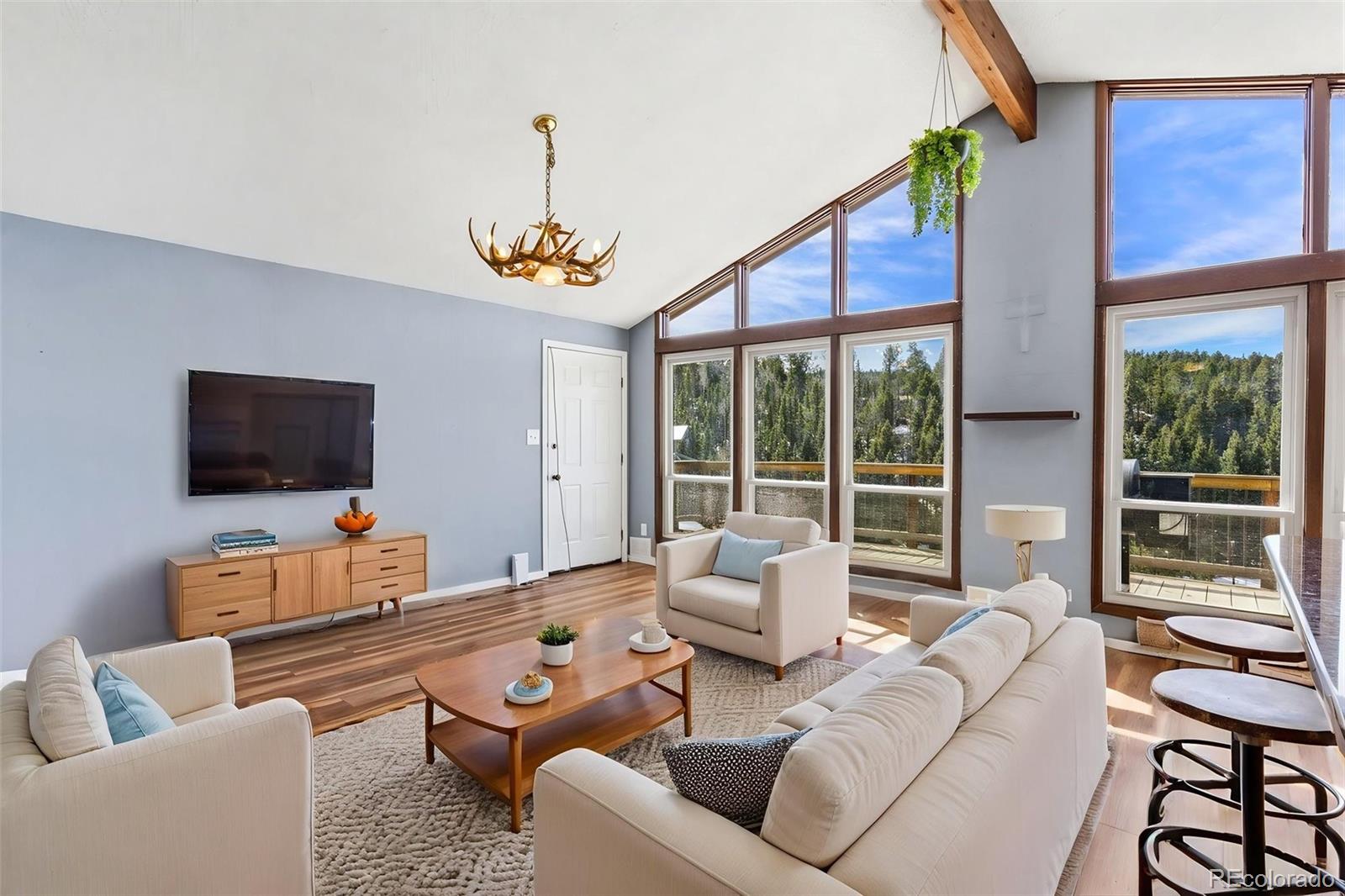 MLS Image #7 for 178  cottonwood lake drive,divide, Colorado