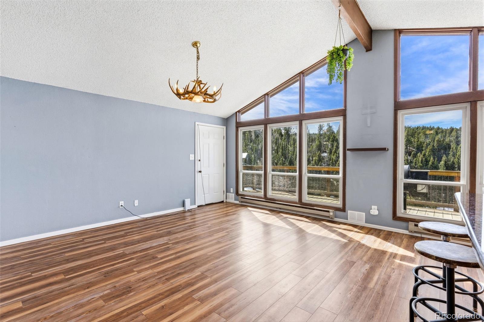 MLS Image #8 for 178  cottonwood lake drive,divide, Colorado