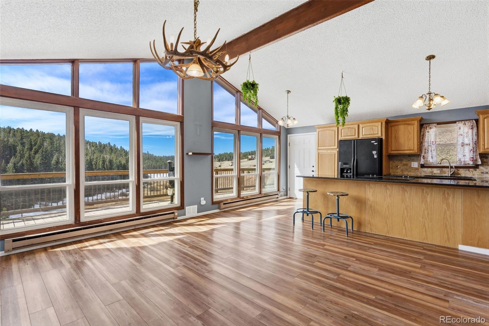 MLS Image #9 for 178  cottonwood lake drive,divide, Colorado