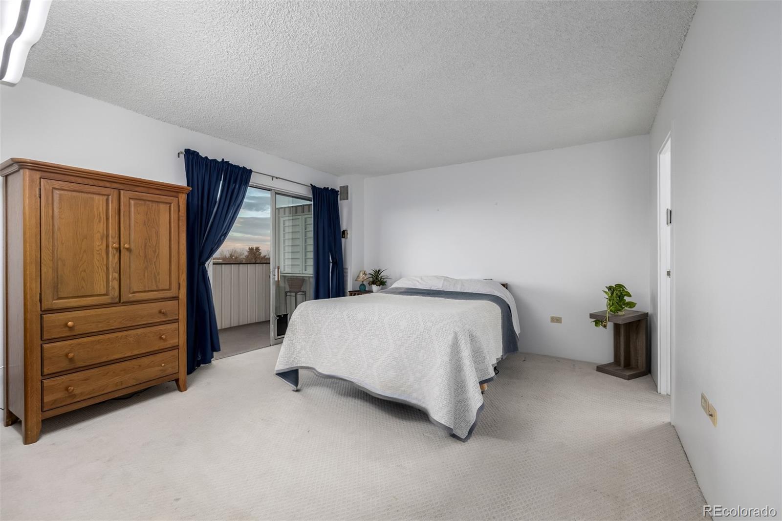 MLS Image #10 for 1313  steele street,denver, Colorado