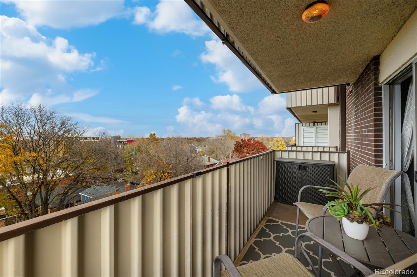 MLS Image #12 for 1313  steele street,denver, Colorado