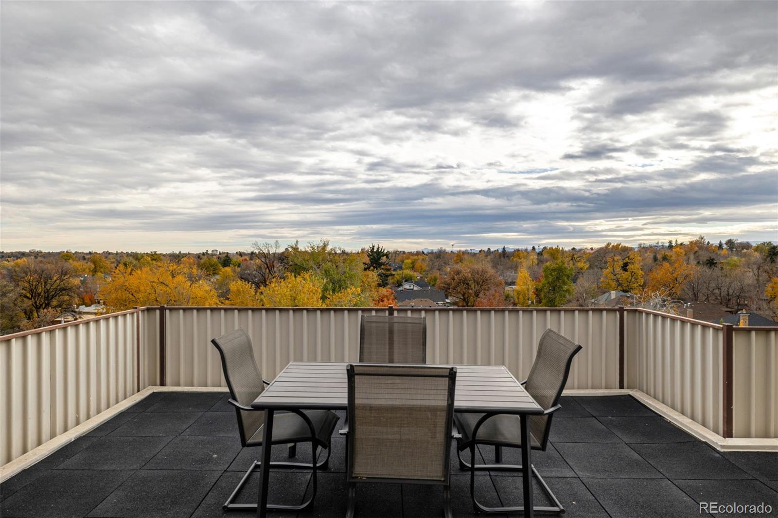 MLS Image #23 for 1313  steele street,denver, Colorado