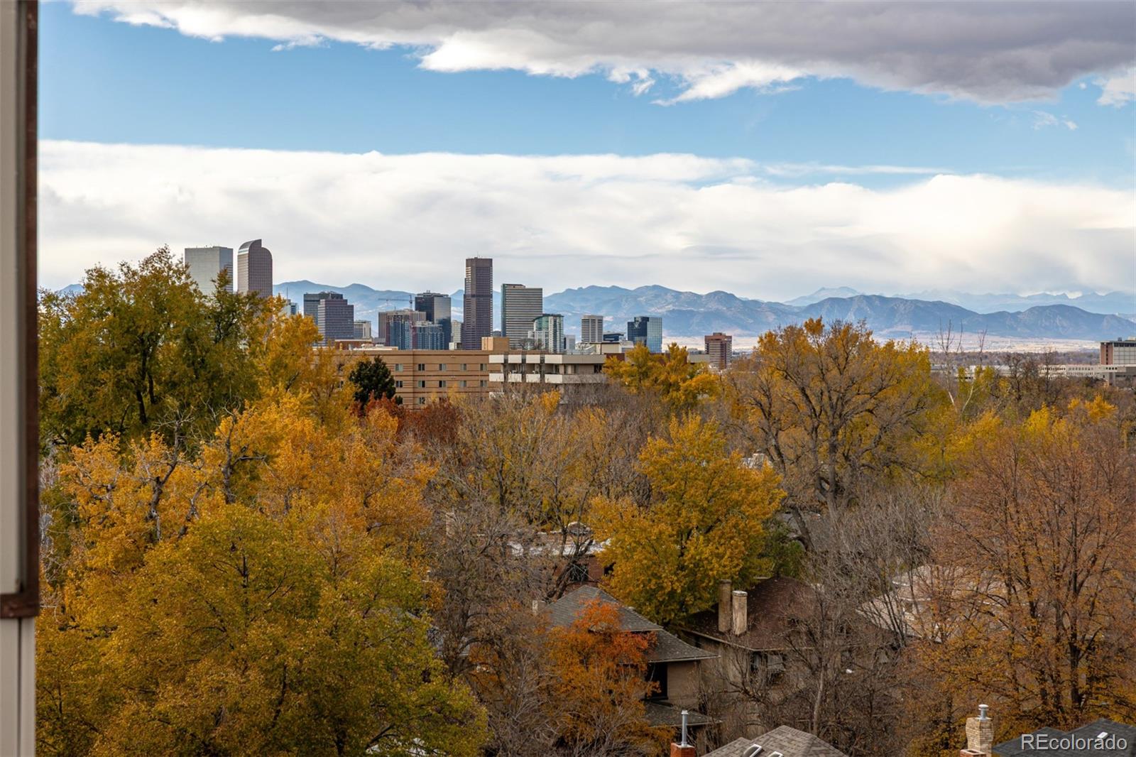 MLS Image #26 for 1313  steele street,denver, Colorado