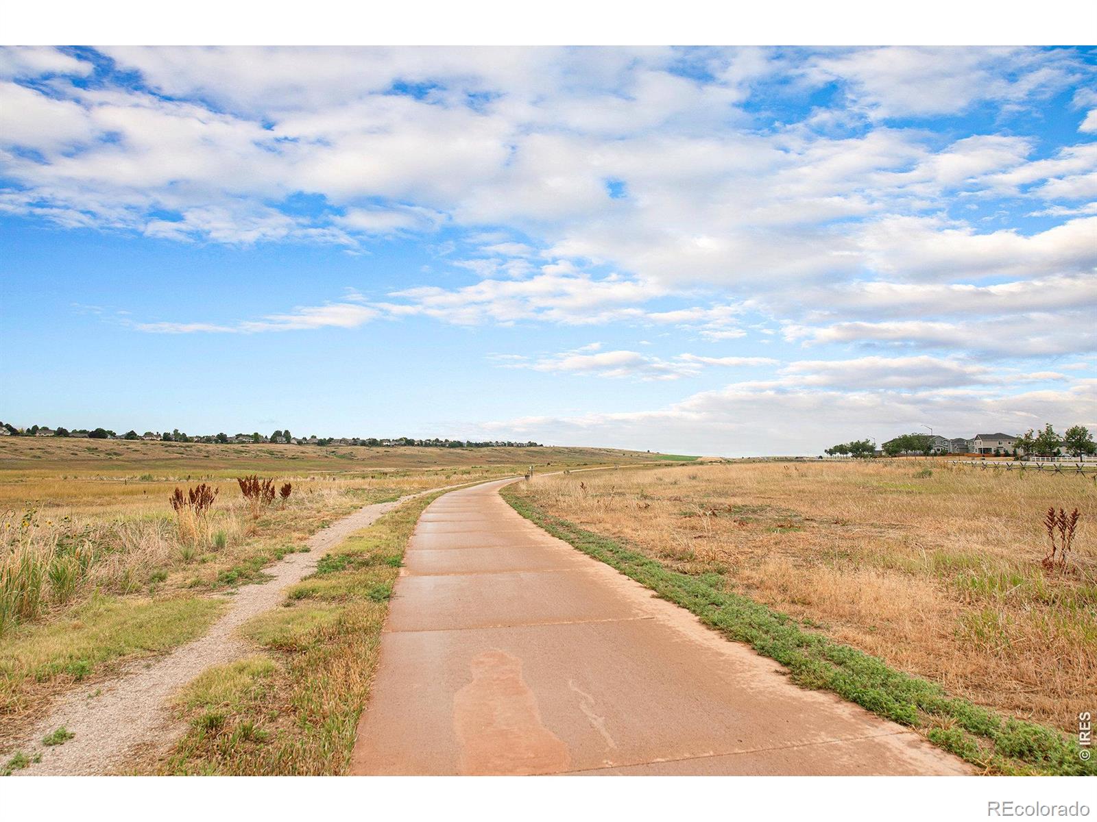 MLS Image #49 for 1345  forrestal drive,fort collins, Colorado