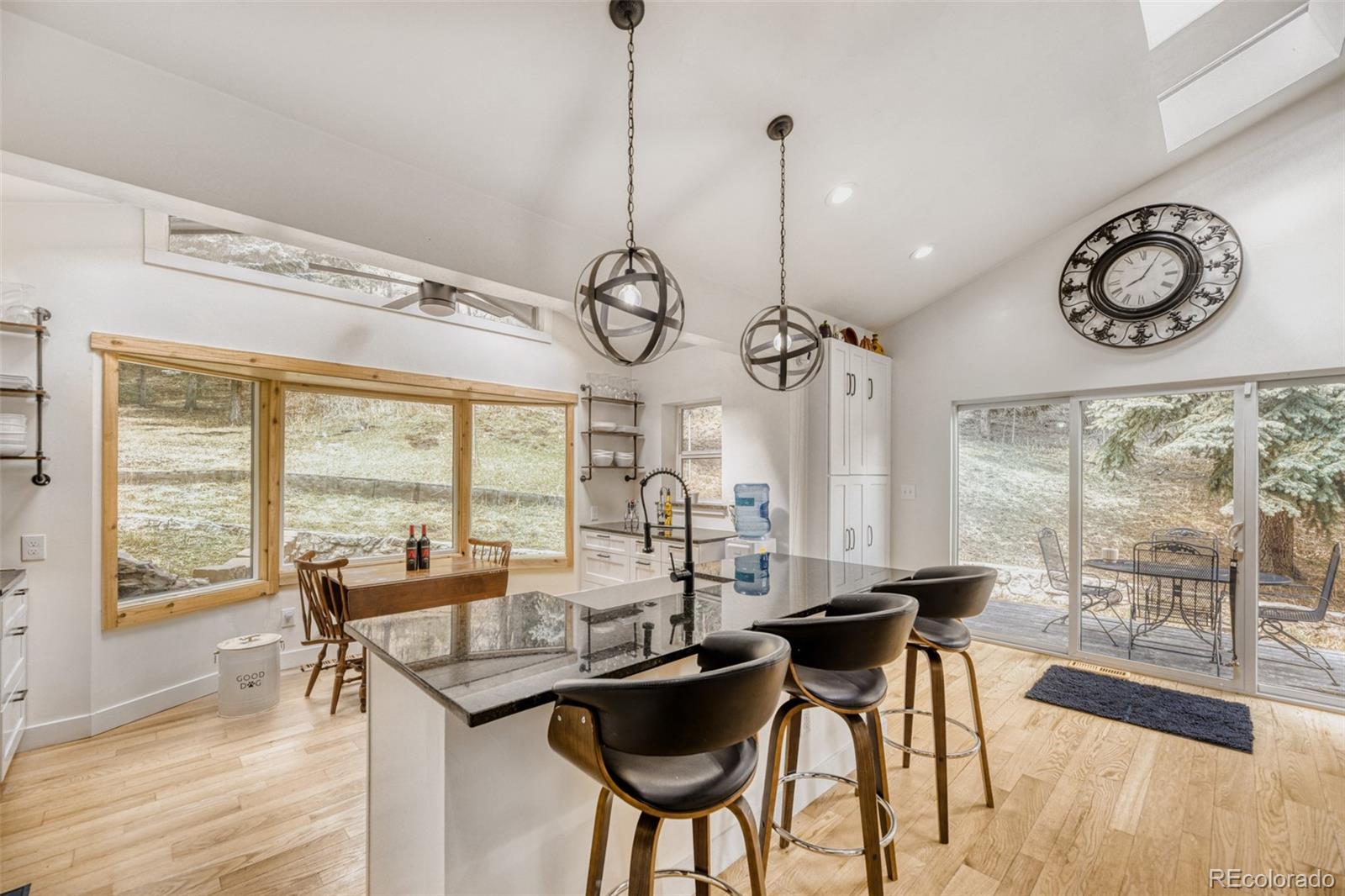 MLS Image #10 for 7489 s turkey creek road,morrison, Colorado