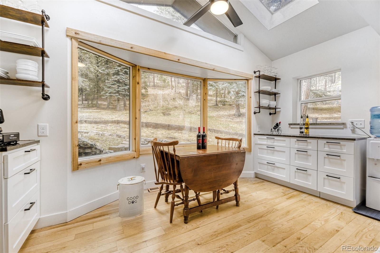 MLS Image #11 for 7489 s turkey creek road,morrison, Colorado