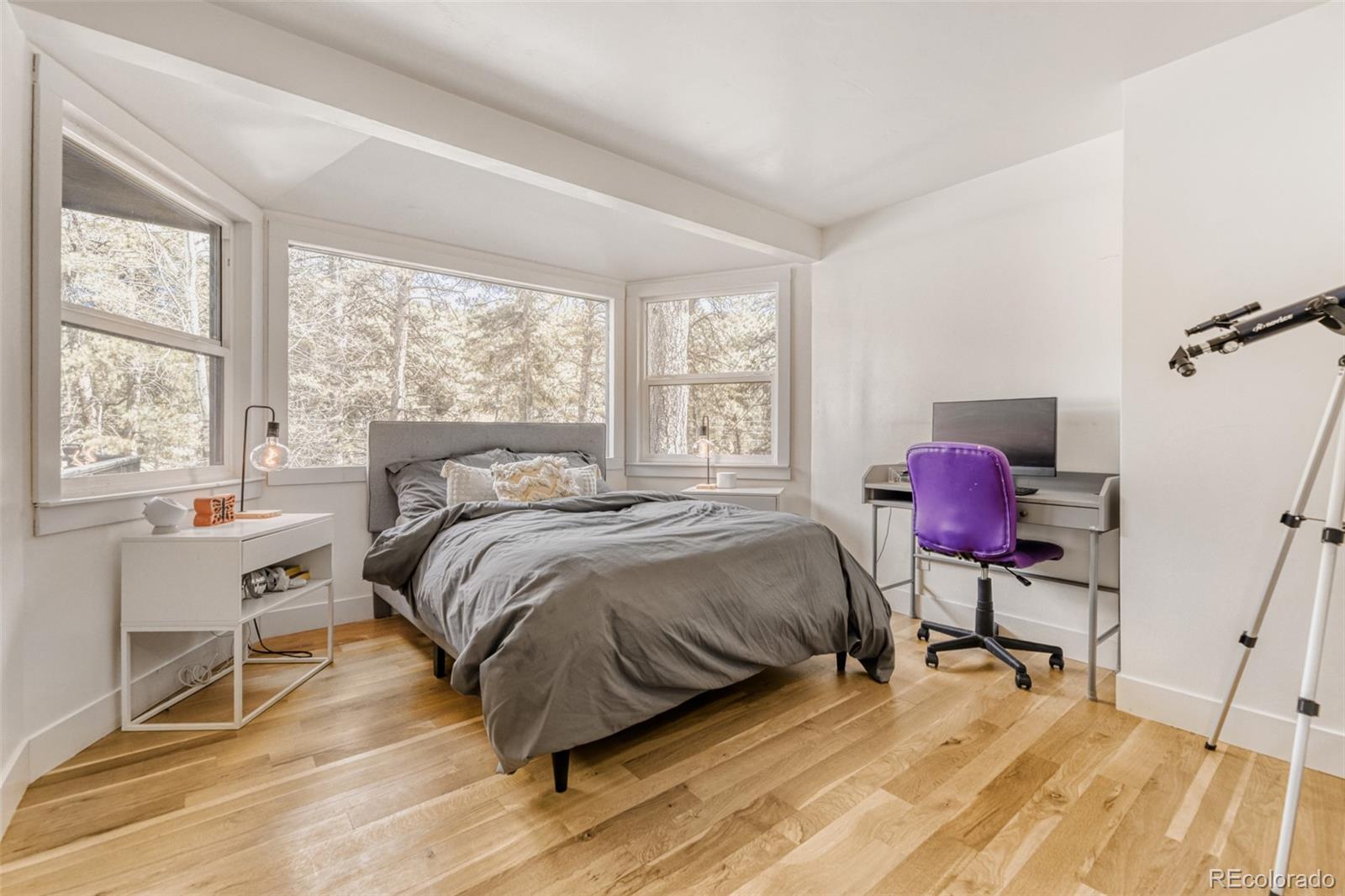 MLS Image #17 for 7489 s turkey creek road,morrison, Colorado
