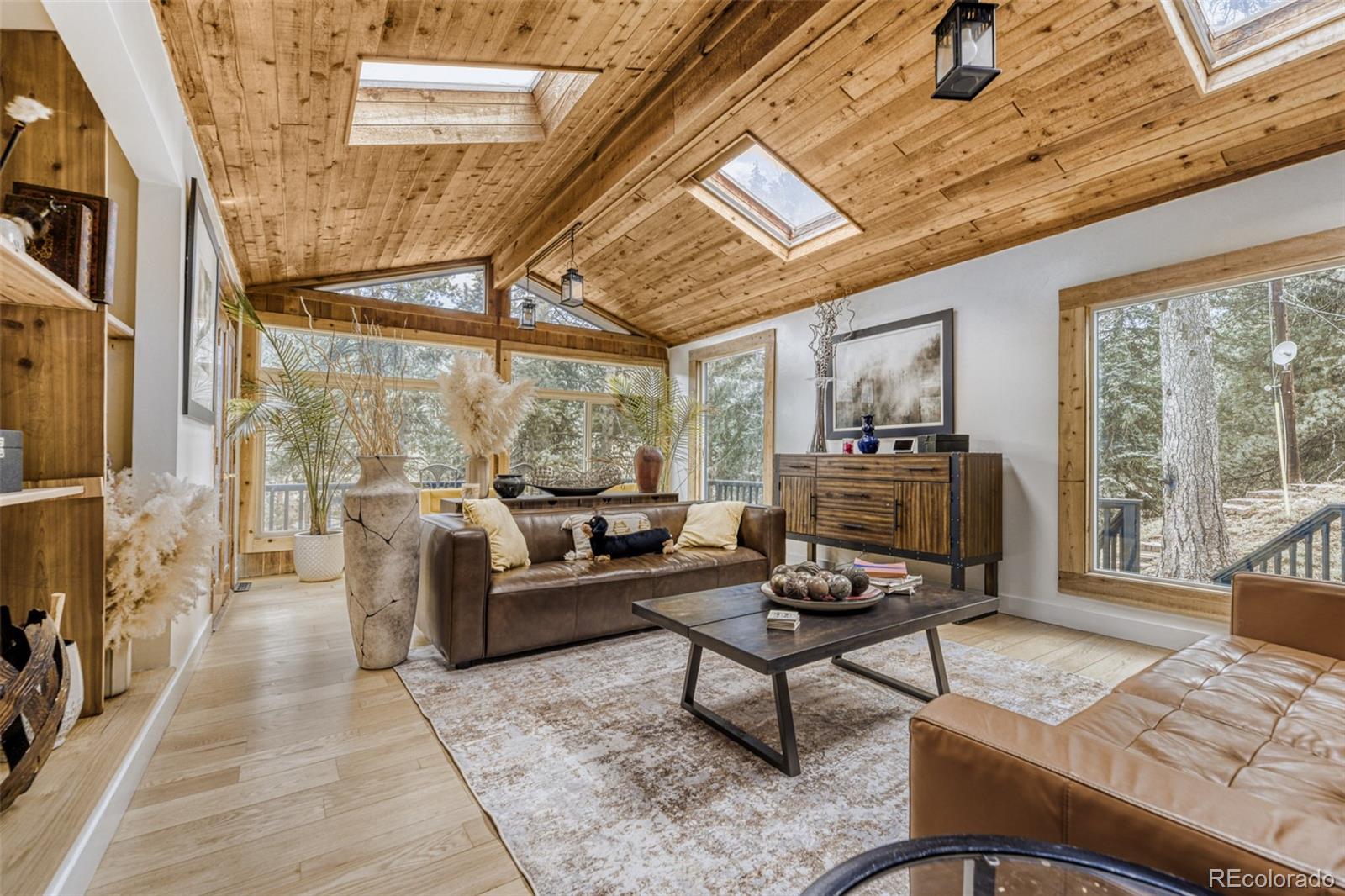 MLS Image #9 for 7489 s turkey creek road,morrison, Colorado