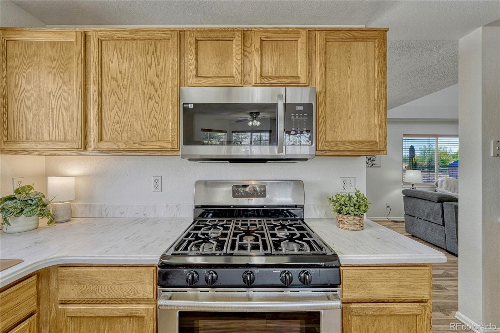 MLS Image #12 for 23033  blackwolf way,parker, Colorado