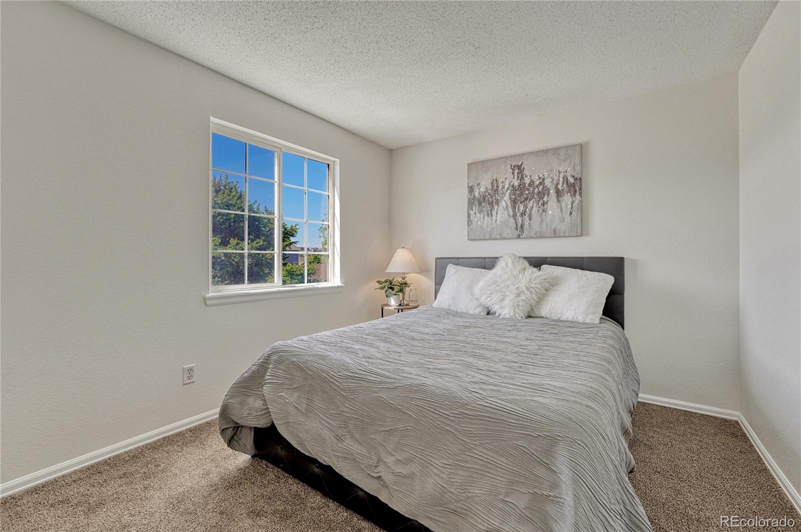MLS Image #30 for 23033  blackwolf way,parker, Colorado