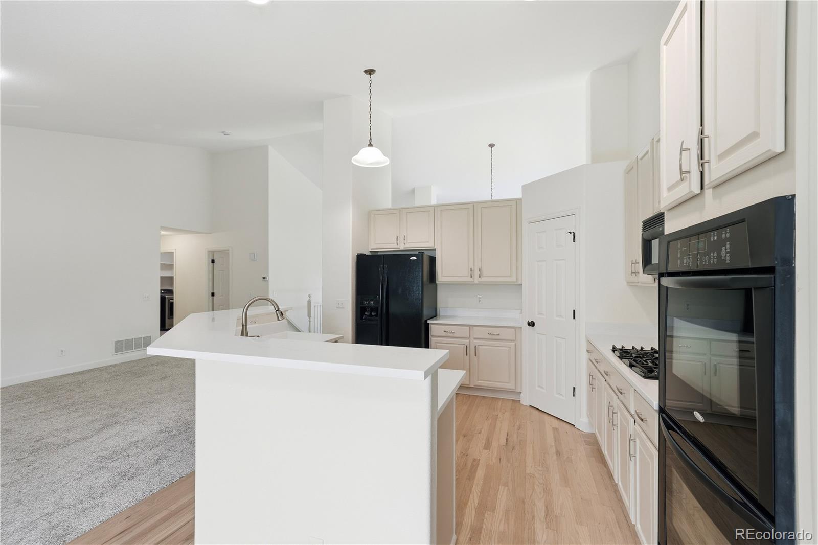MLS Image #11 for 3885  aspen hollow court,castle rock, Colorado