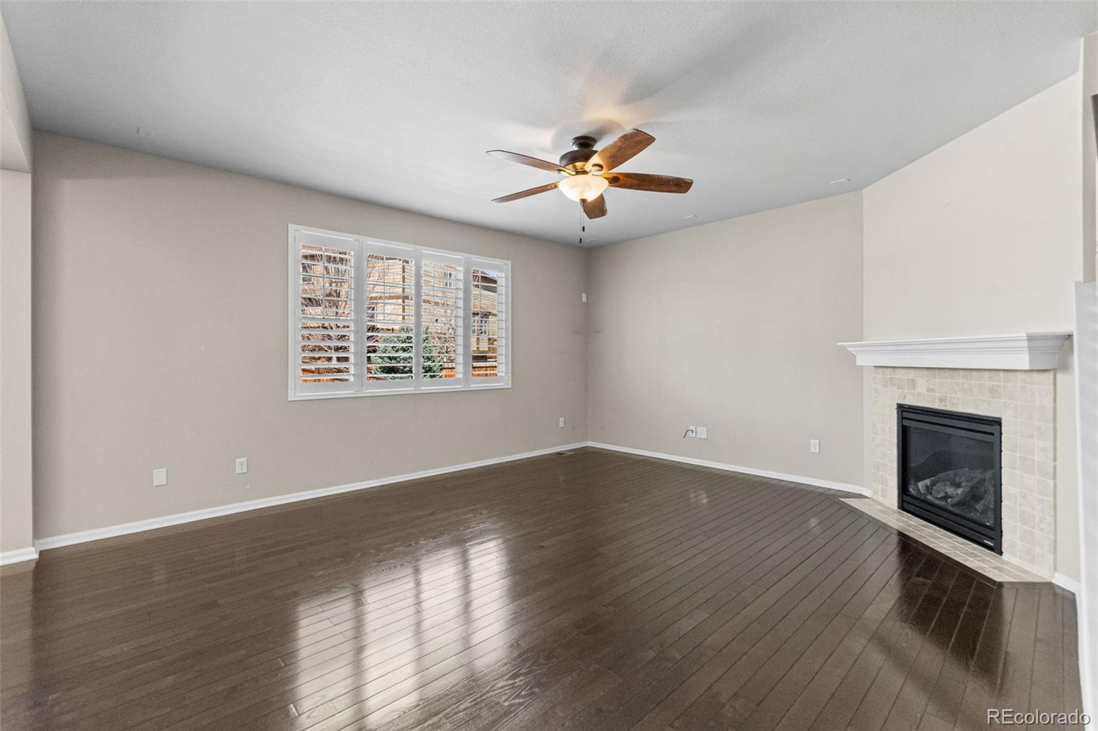 MLS Image #4 for 7312  grady circle,castle rock, Colorado