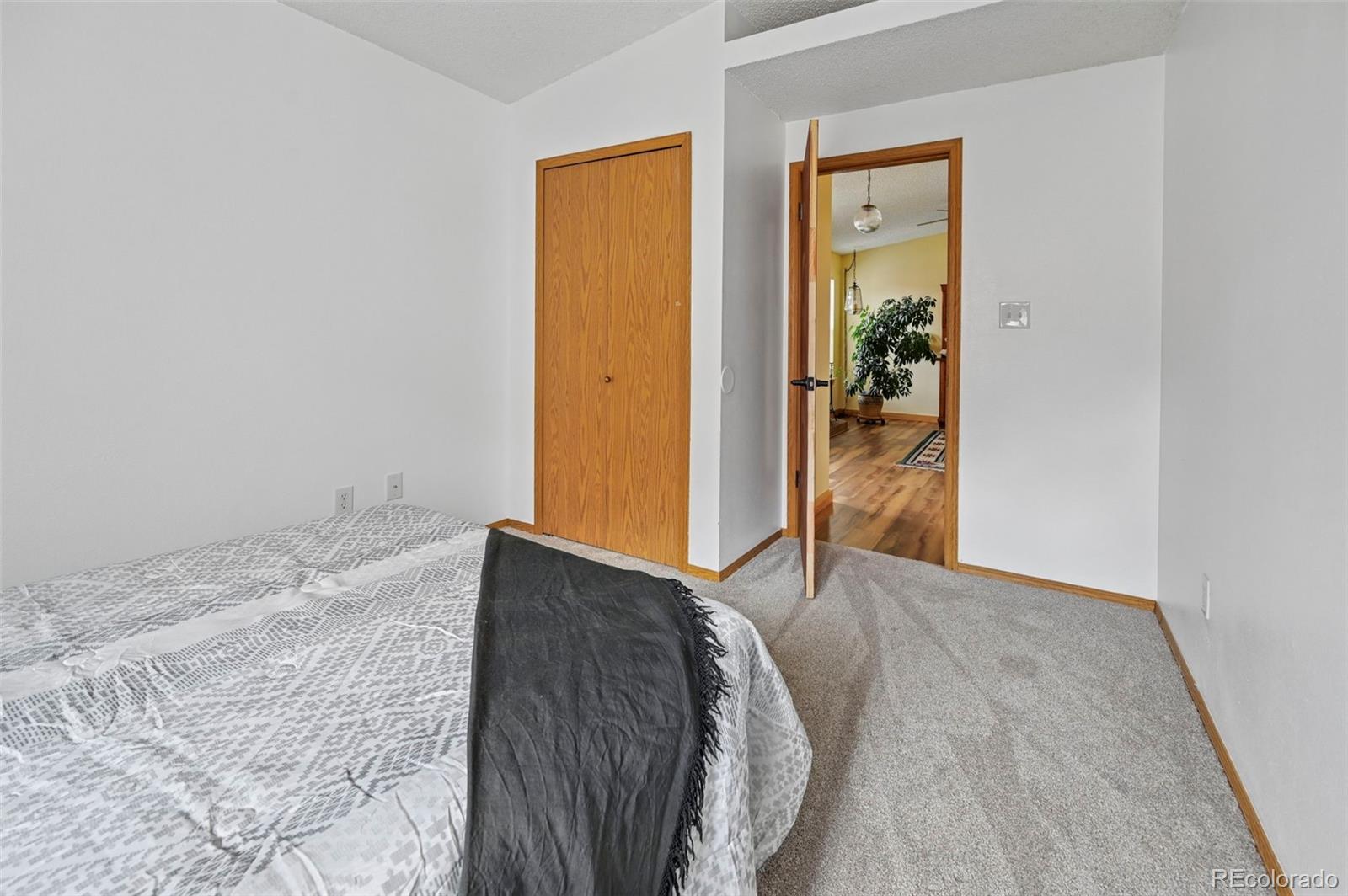 MLS Image #14 for 6359  gunshot pass drive,colorado springs, Colorado