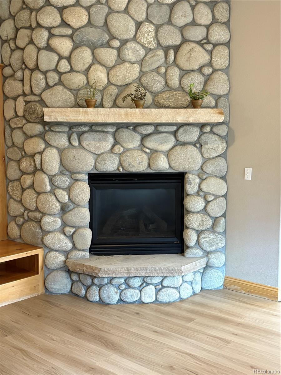 MLS Image #10 for 31276  stone canyon road,evergreen, Colorado