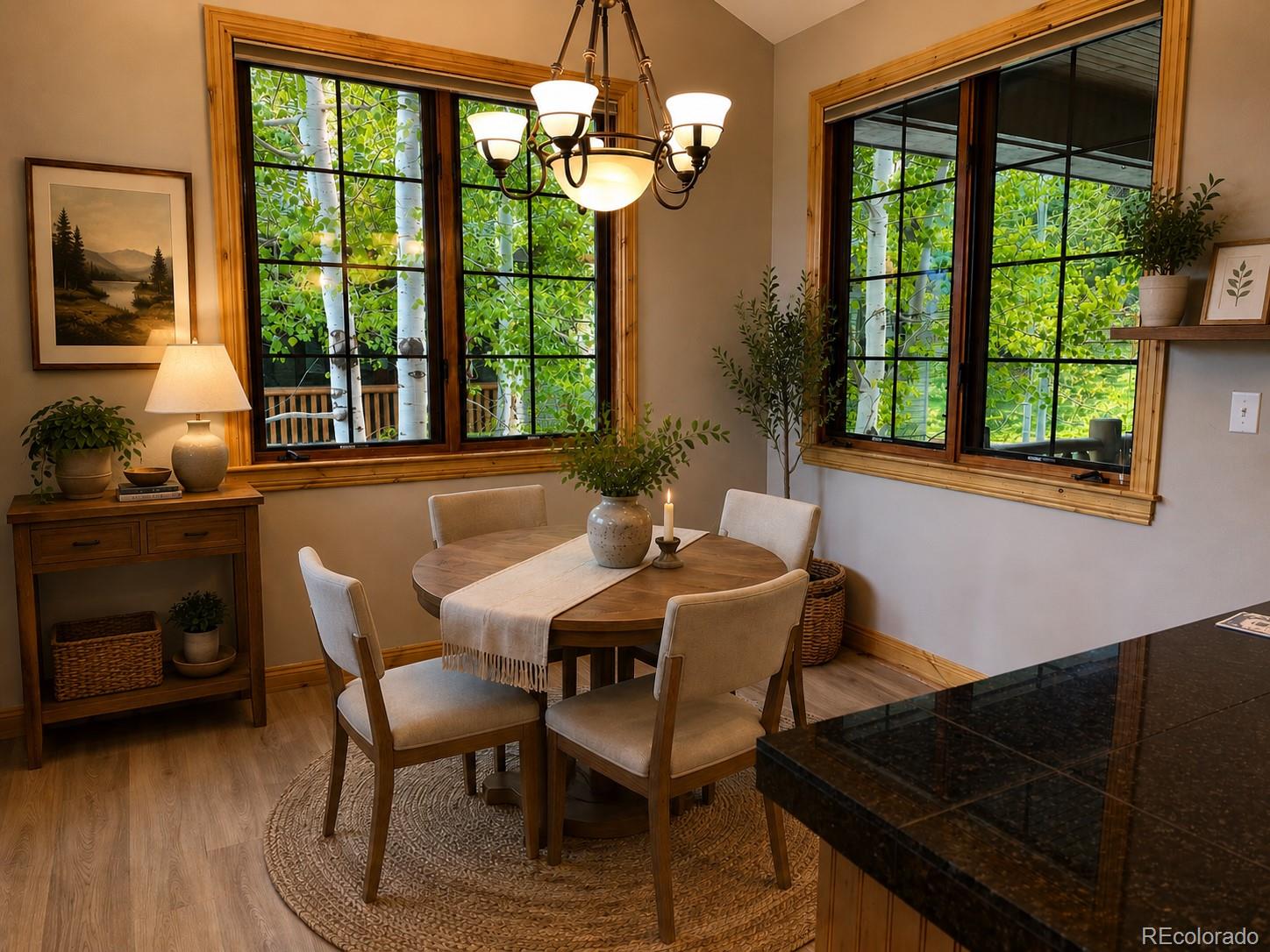 MLS Image #2 for 31276  stone canyon road,evergreen, Colorado